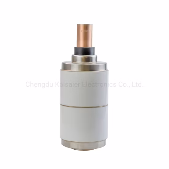 24-kV-Keramik-Vakuumunterbrecher für eingebetteten Pol (1096)