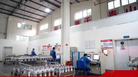 40,5 kV eingebetteter Pol für Vakuumunterbrecher 2500 A (2082)